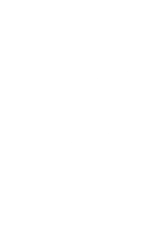 X Division Store